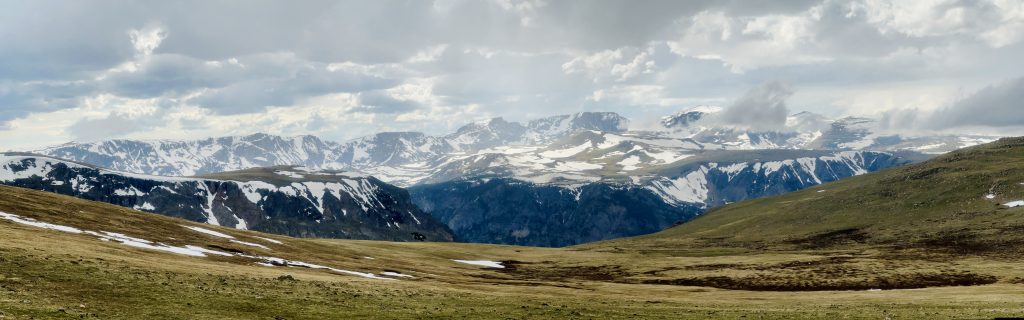 Back In Yellowstone
